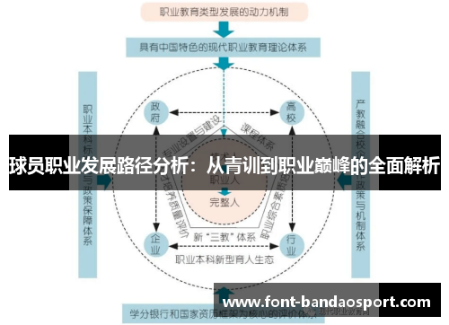 球员职业发展路径分析：从青训到职业巅峰的全面解析