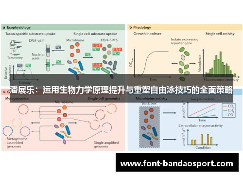 潘展乐：运用生物力学原理提升与重塑自由泳技巧的全面策略