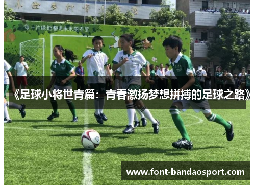 《足球小将世青篇：青春激扬梦想拼搏的足球之路》