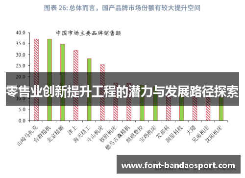 零售业创新提升工程的潜力与发展路径探索