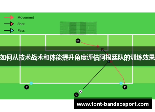 如何从技术战术和体能提升角度评估阿根廷队的训练效果